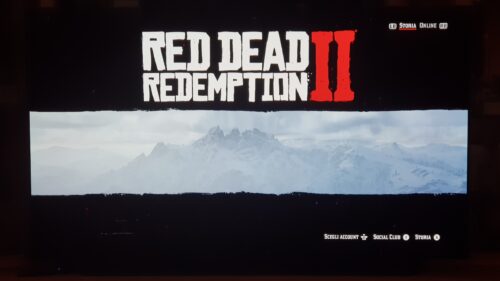 Red Dead Redemption 2: Ultimate Edition photo review