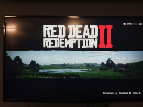 Red Dead Redemption 2: Ultimate Edition photo review