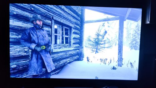 Red Dead Redemption 2: Ultimate Edition photo review