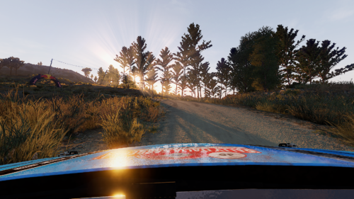 WRC 9 FIA World Rally Championship photo review