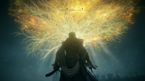 ELDEN RING photo review